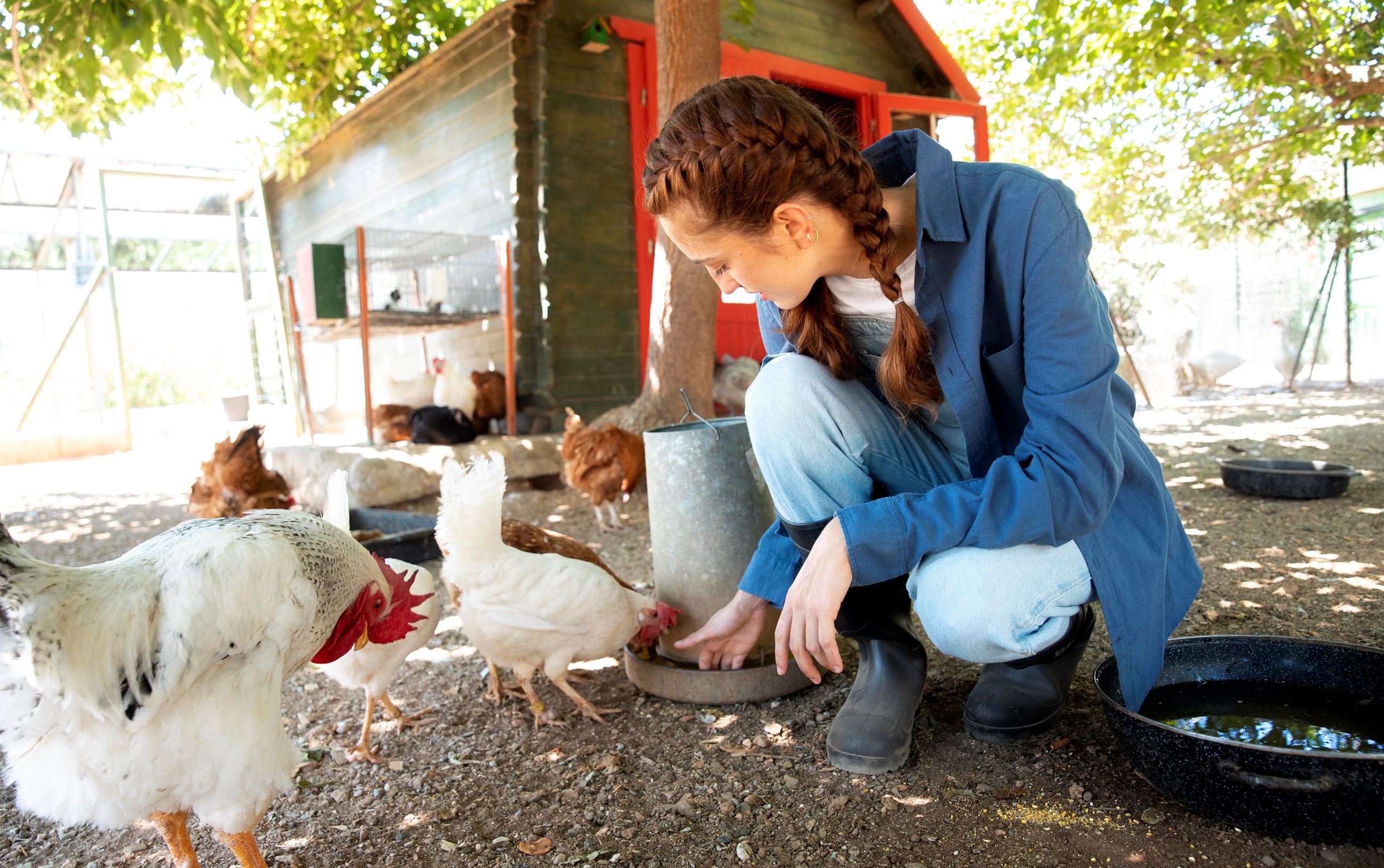 female-farmer-feeding-chickens